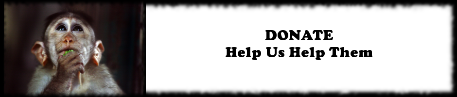 Donate