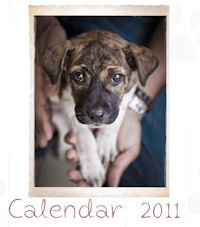 Calendar 2011